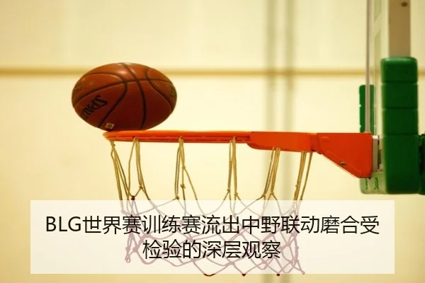 BLG世界赛训练赛流出中野联动磨合受检验的深层观察